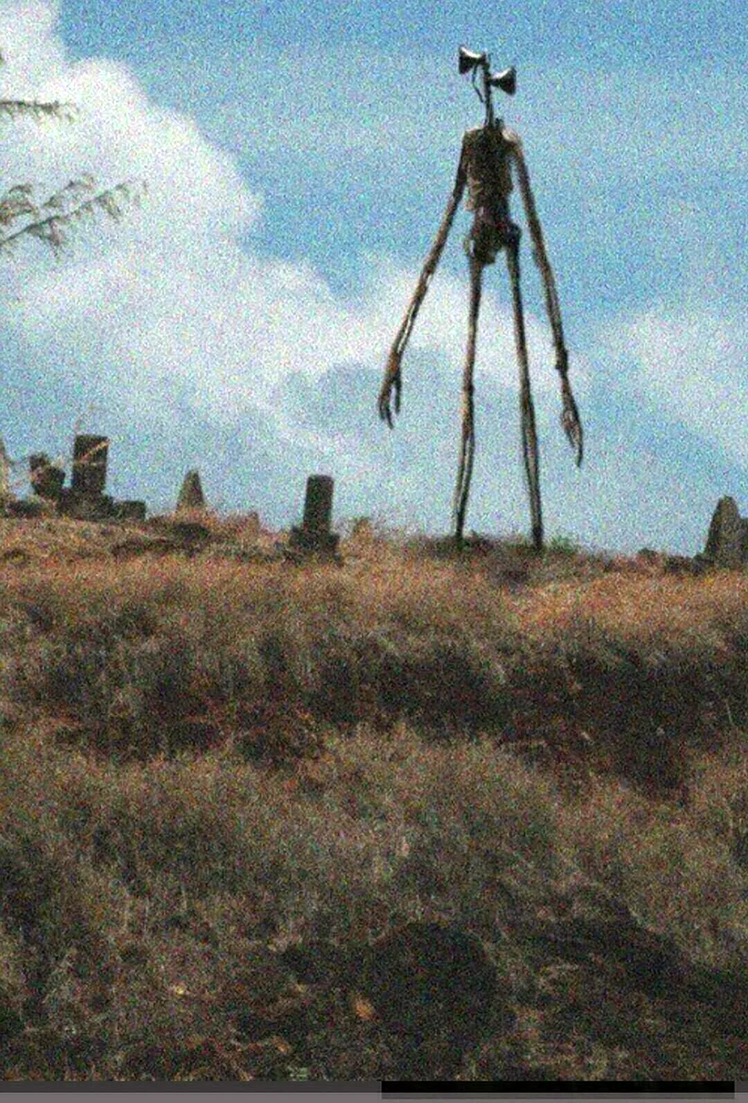 Аризона 1966 сиреноголовый