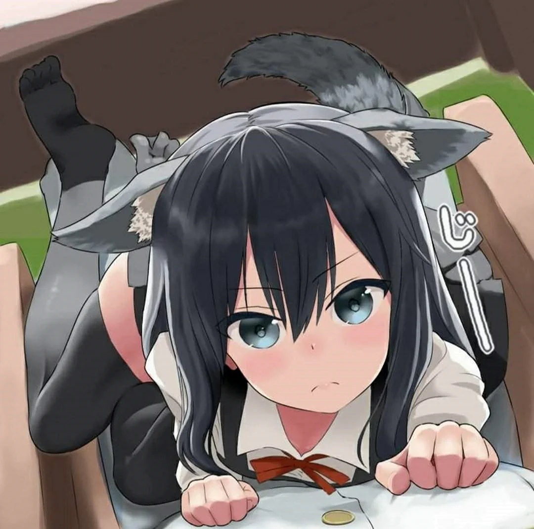 Asashio kantai collection неко