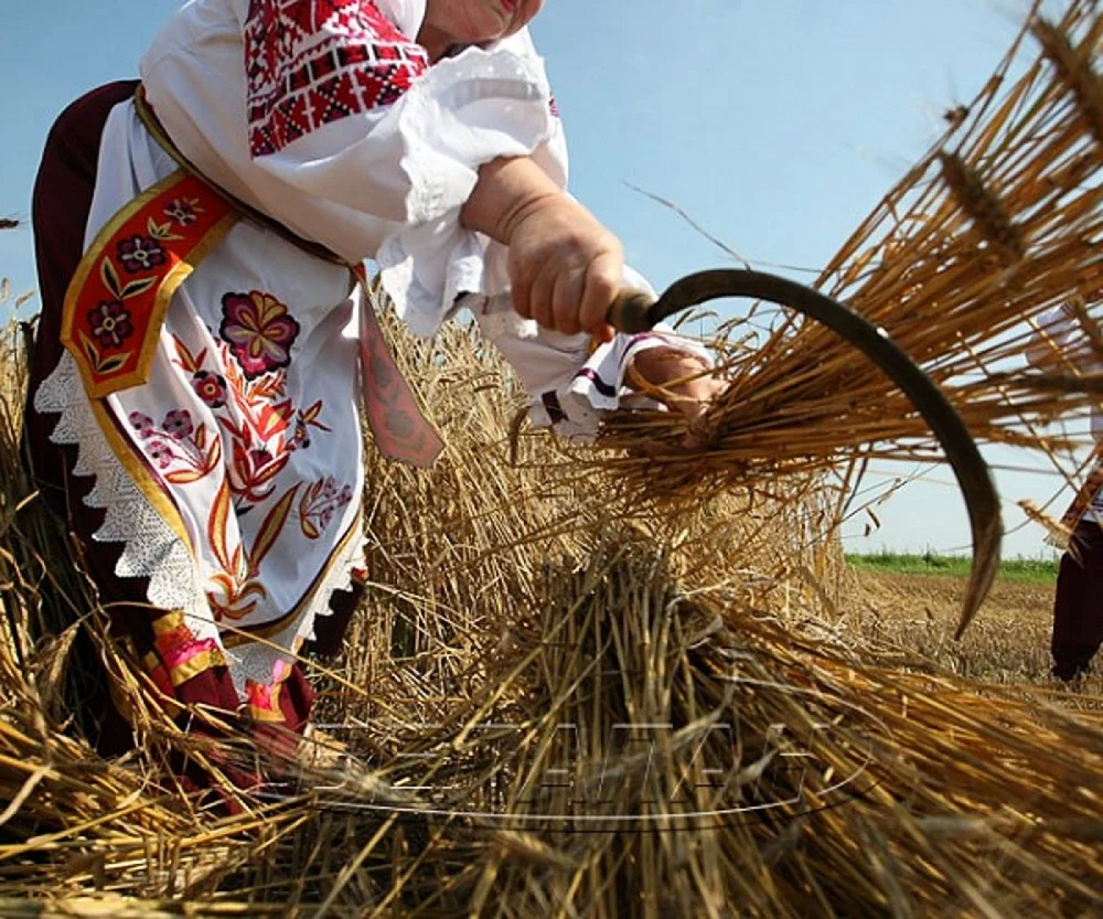 Авдотья Сеногнойка