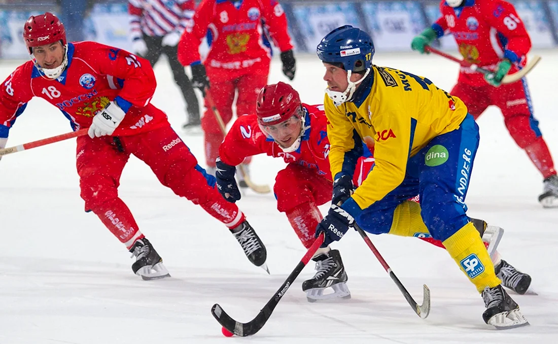 Bandy хоккей с мячом