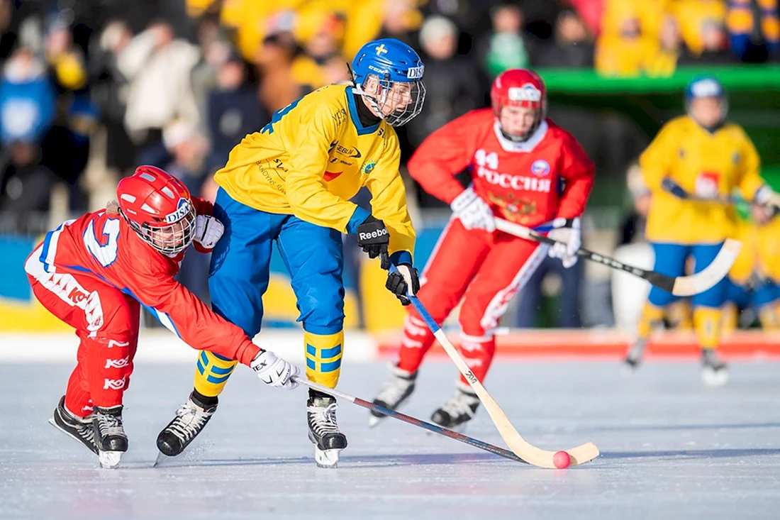 Bandy хоккей с мячом