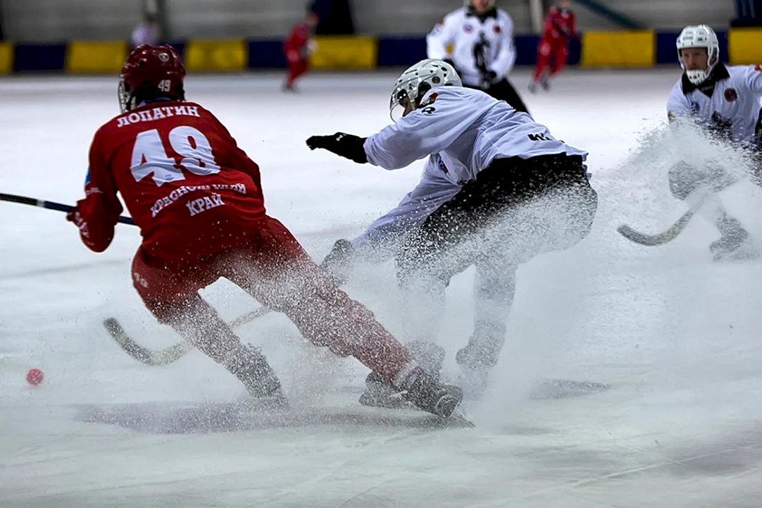 Bandy хоккей с мячом