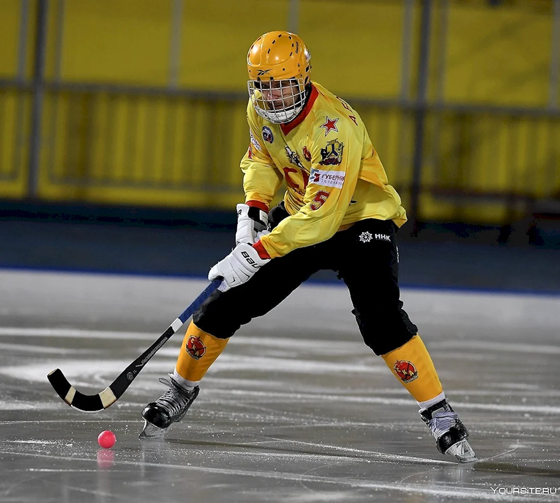 Bandy хоккей с мячом