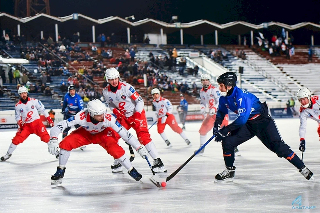 Bandy хоккей с мячом