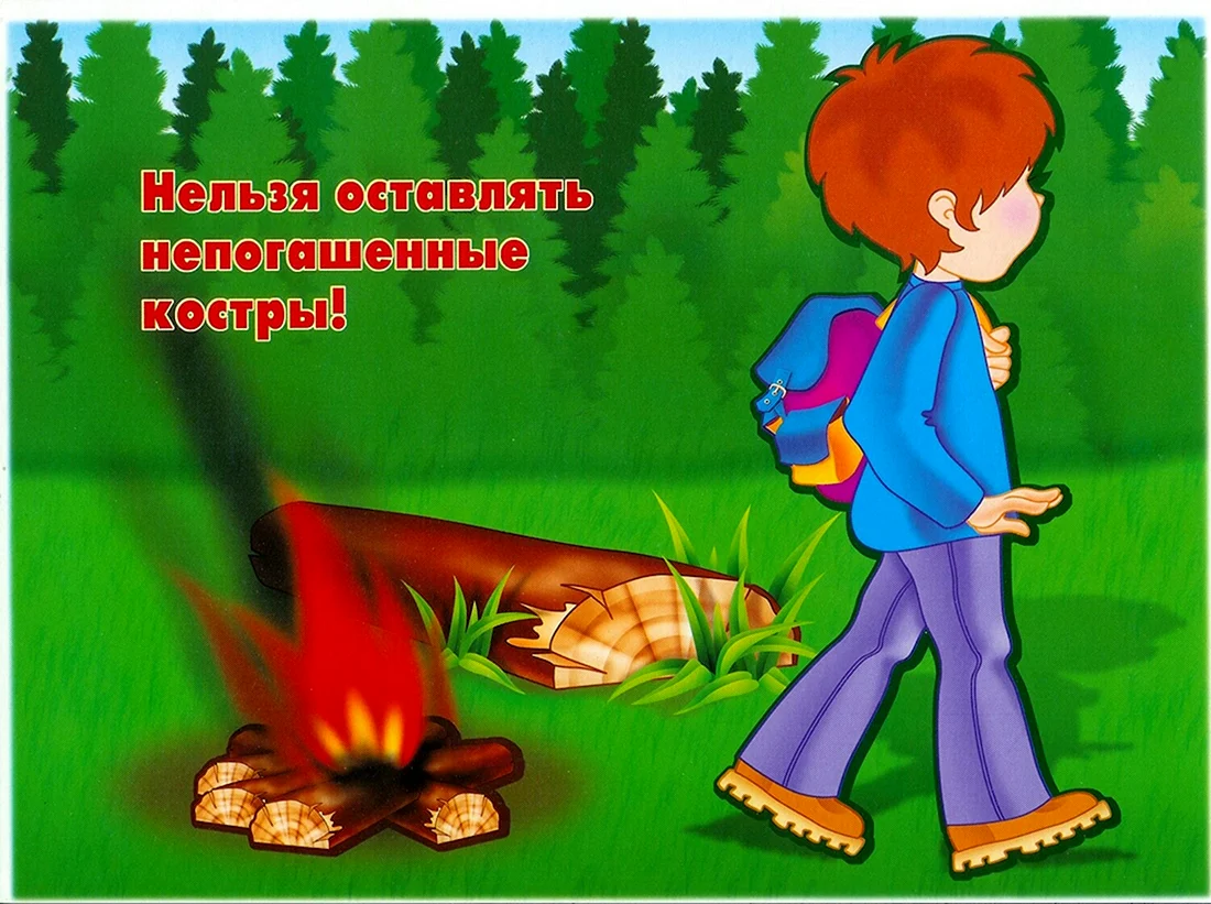 Безопасность в лесу
