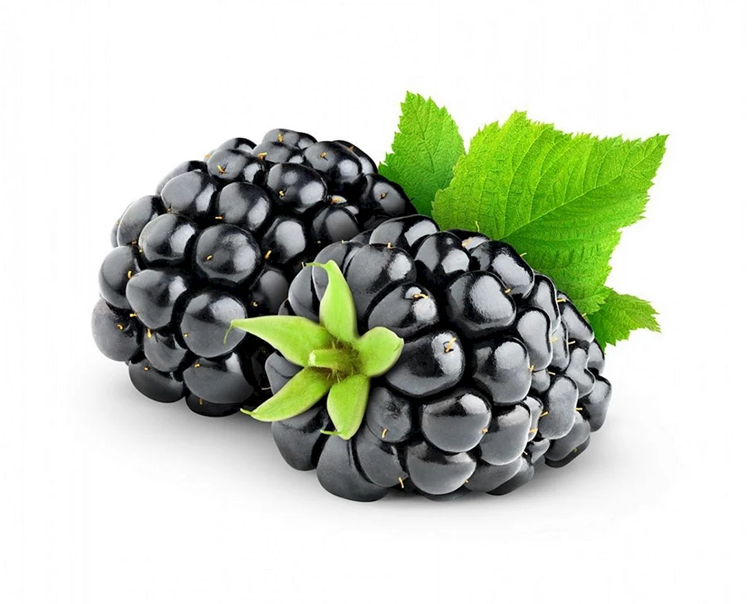 BLACKBERRY ежевика