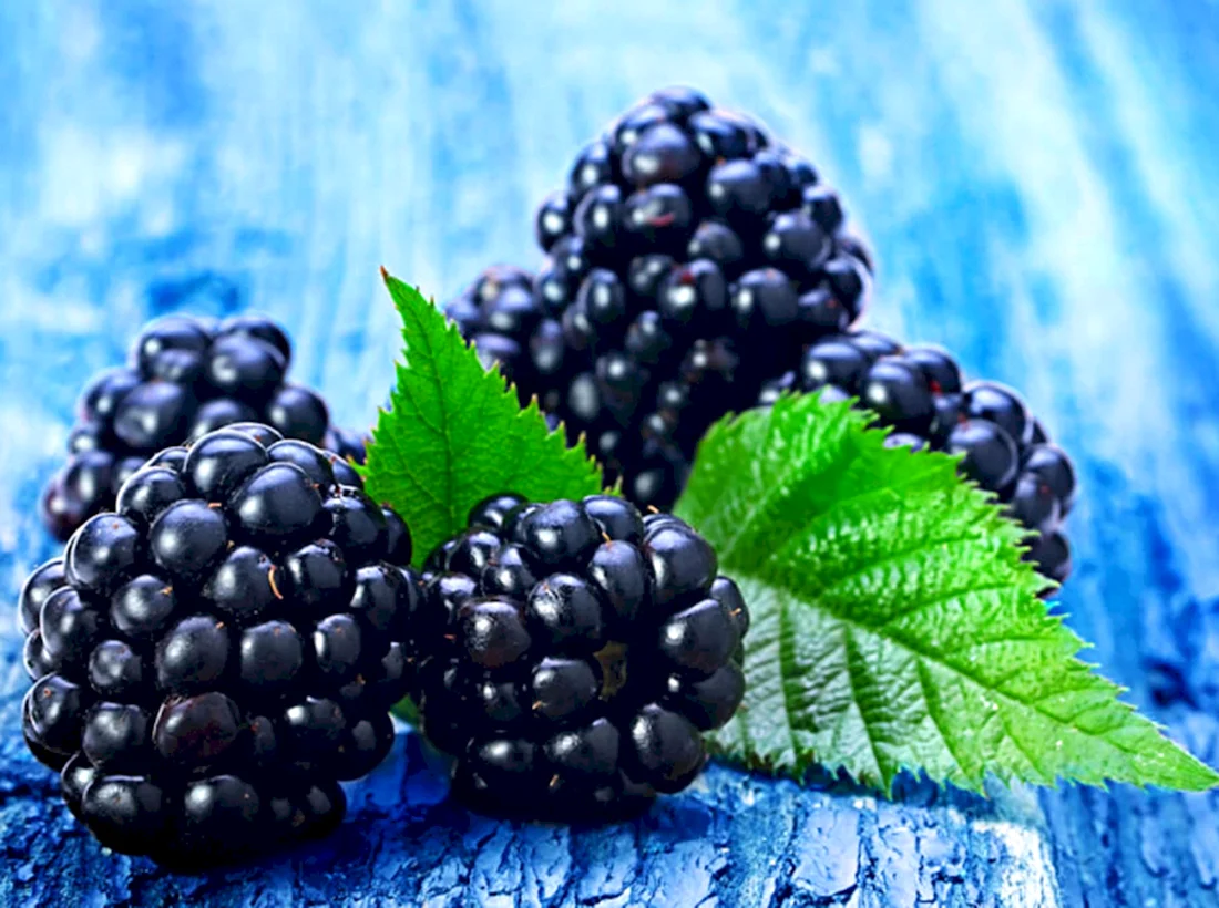 BLACKBERRY ежевика