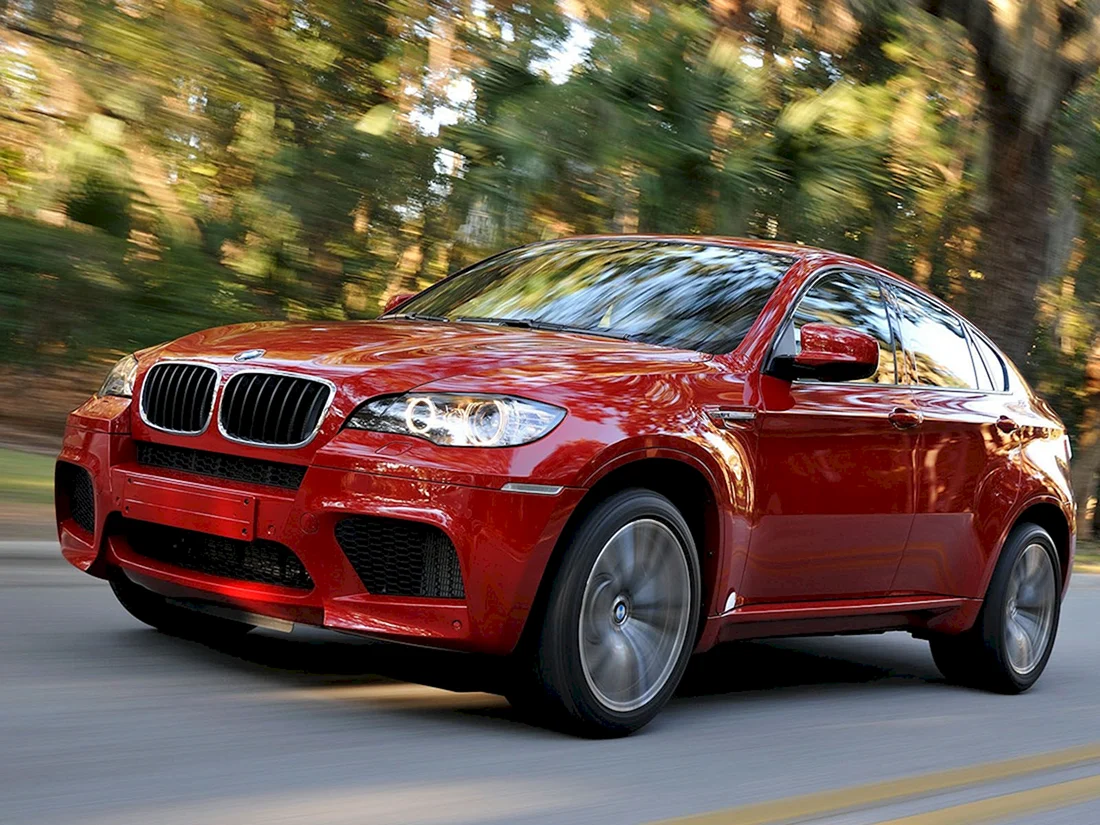 BMW x6 2009