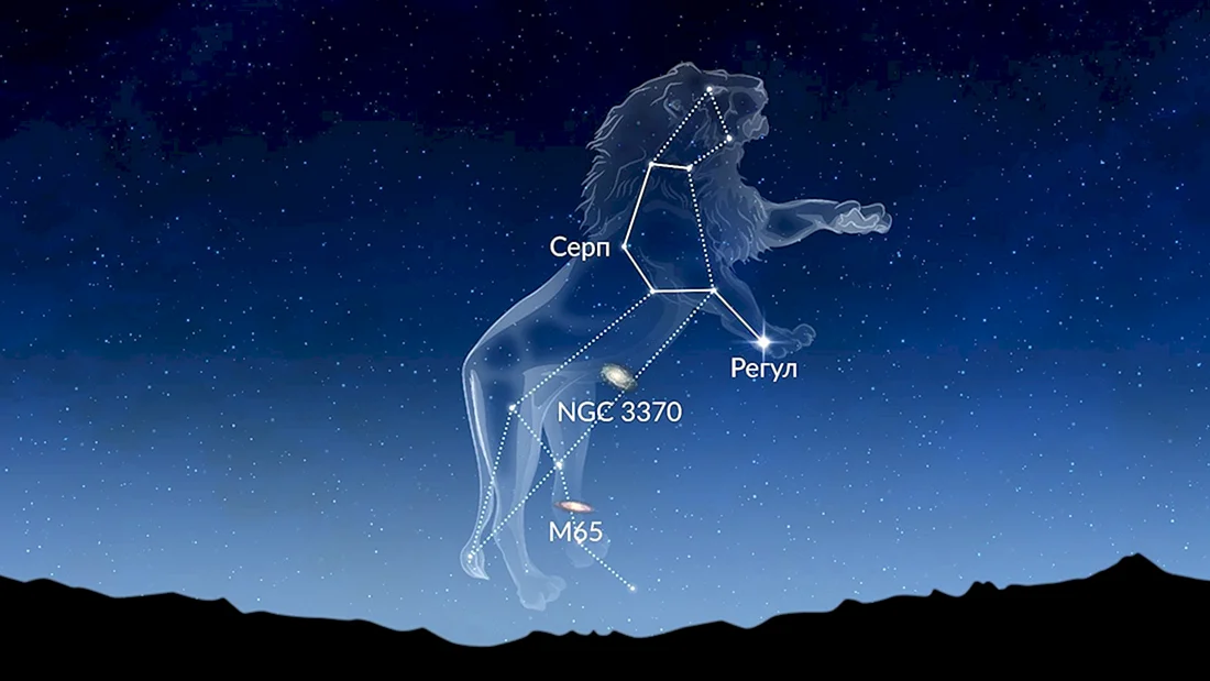 Большая Медведица Ursa Major