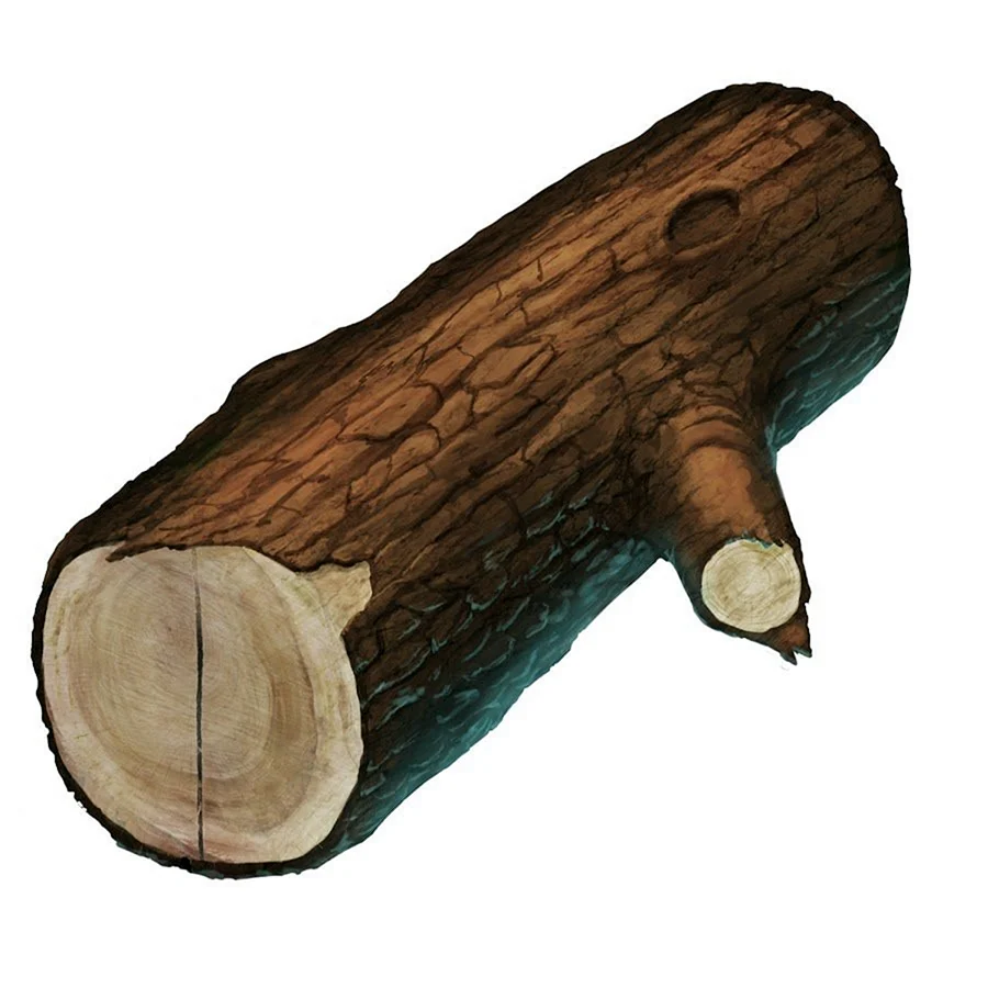 Бревно