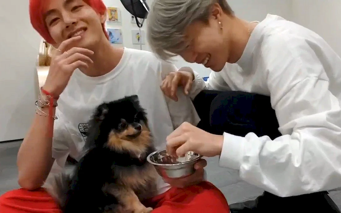 BTS Чимин и Ентан