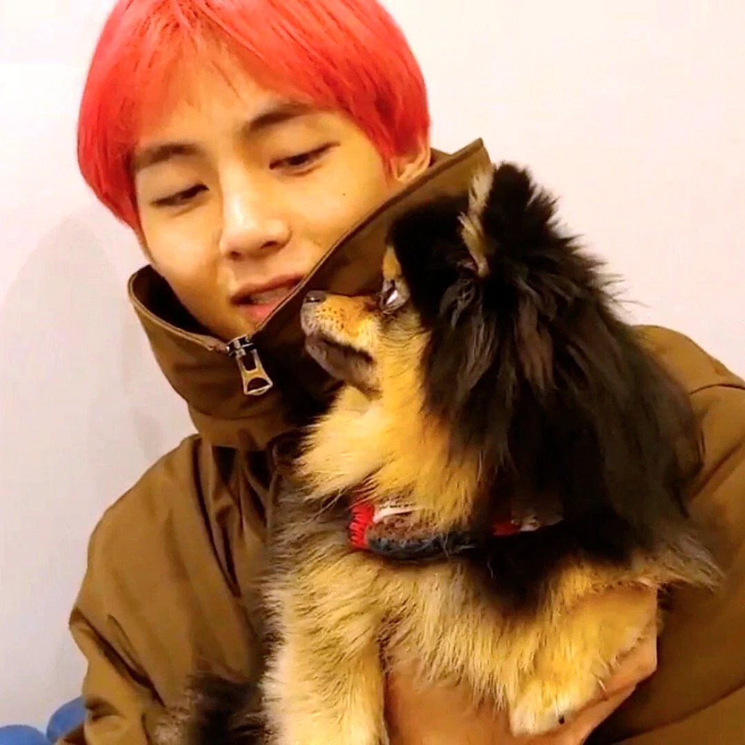 BTS ёнтан