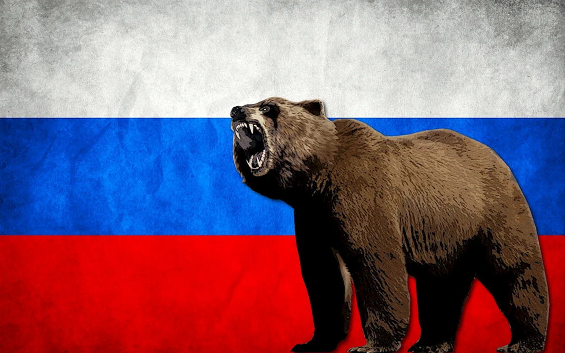 Бурый медведь символ России
