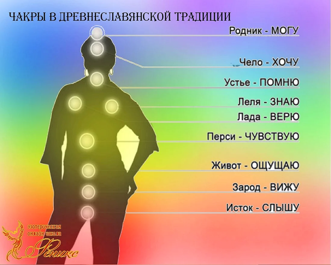 Чакры человека
