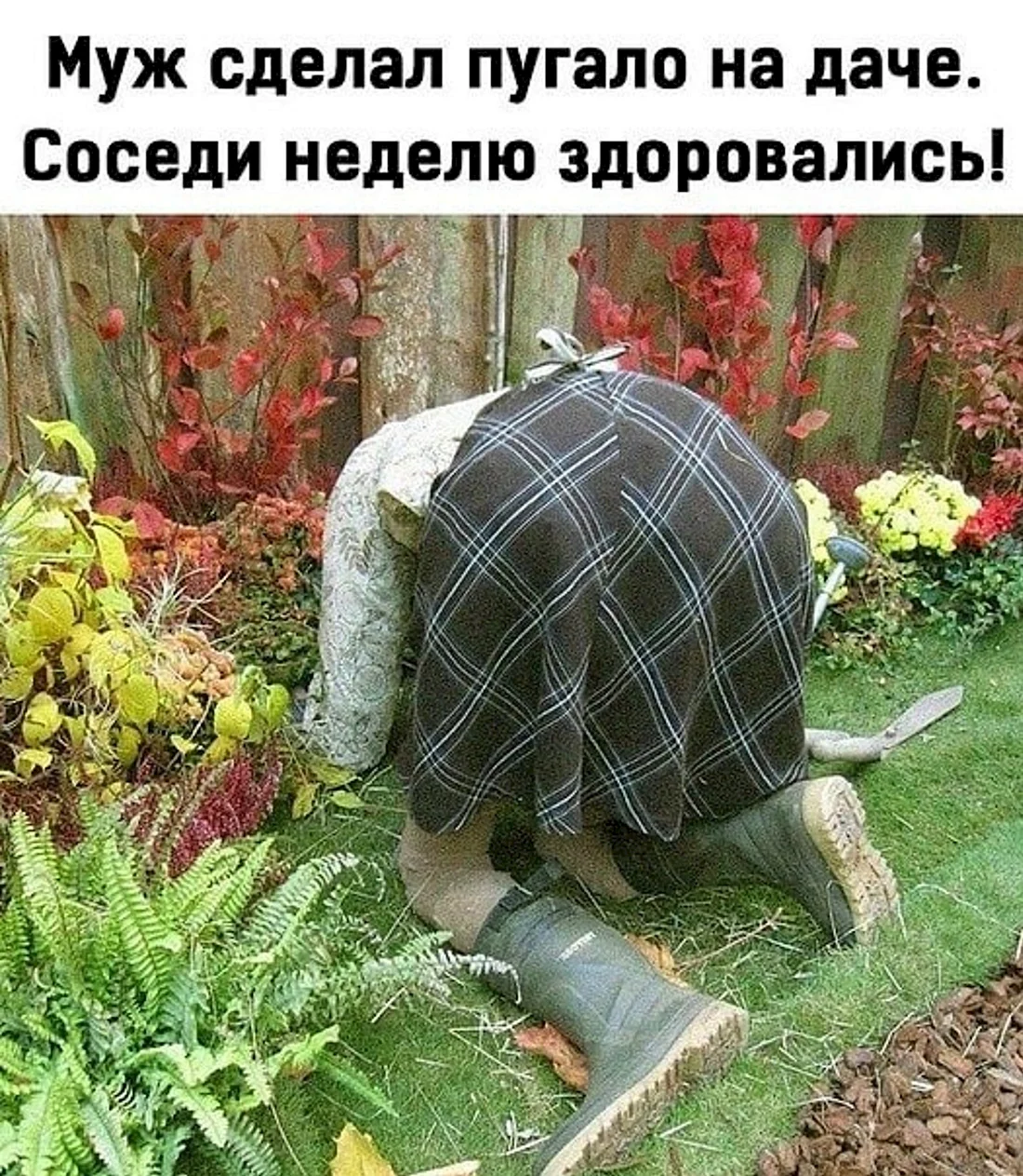 Чучело на огород