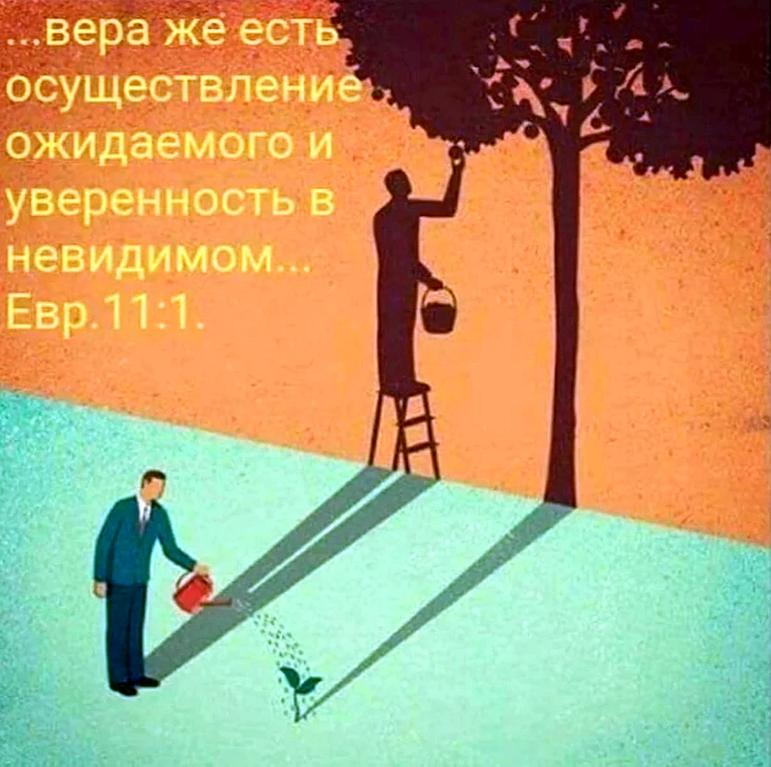 Давид Бонацци