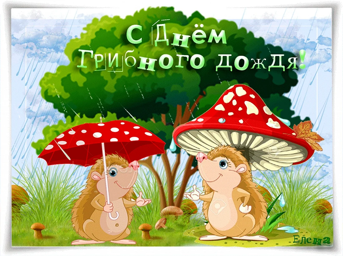 День грибного дождя