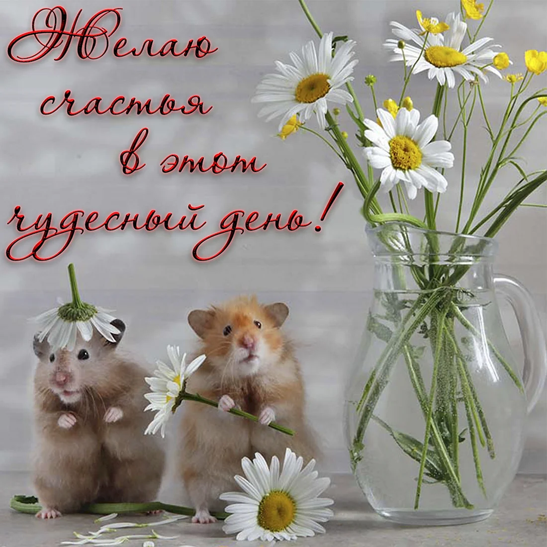Доброго дня и хорошего настроения