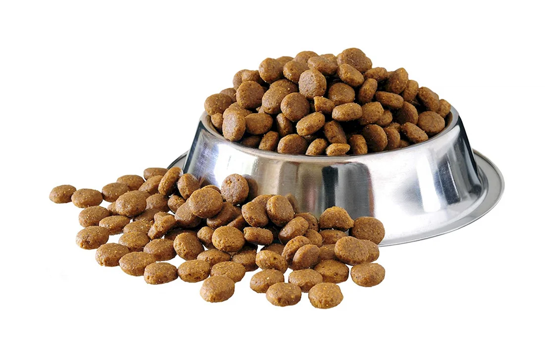 Dog food корм для собак