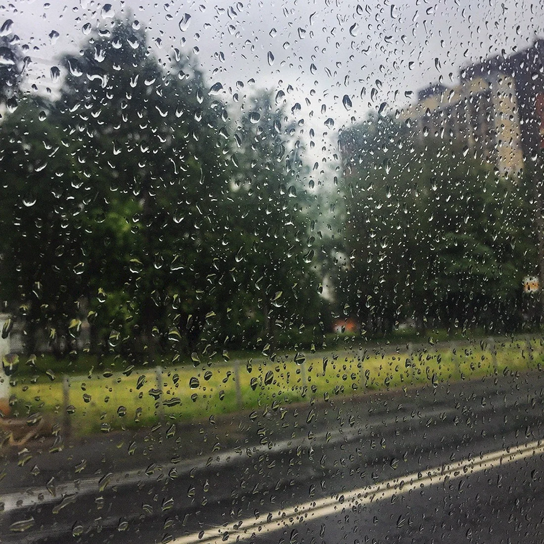 Дождливый день