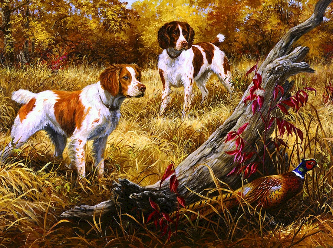 Джим Киллен художник