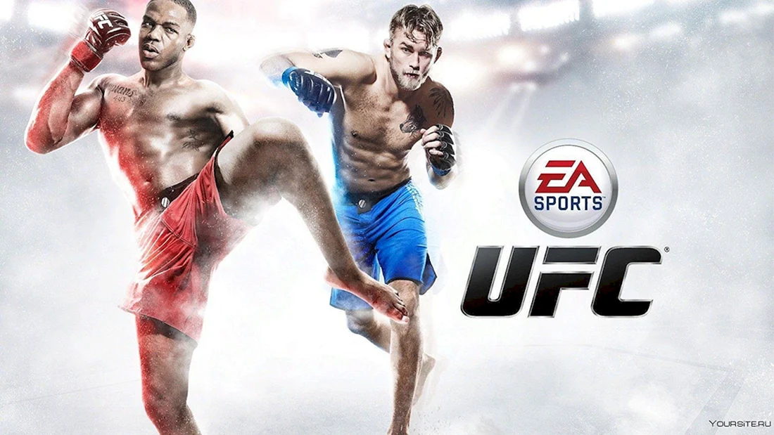 EA Sports UFC 2014 Постер игры