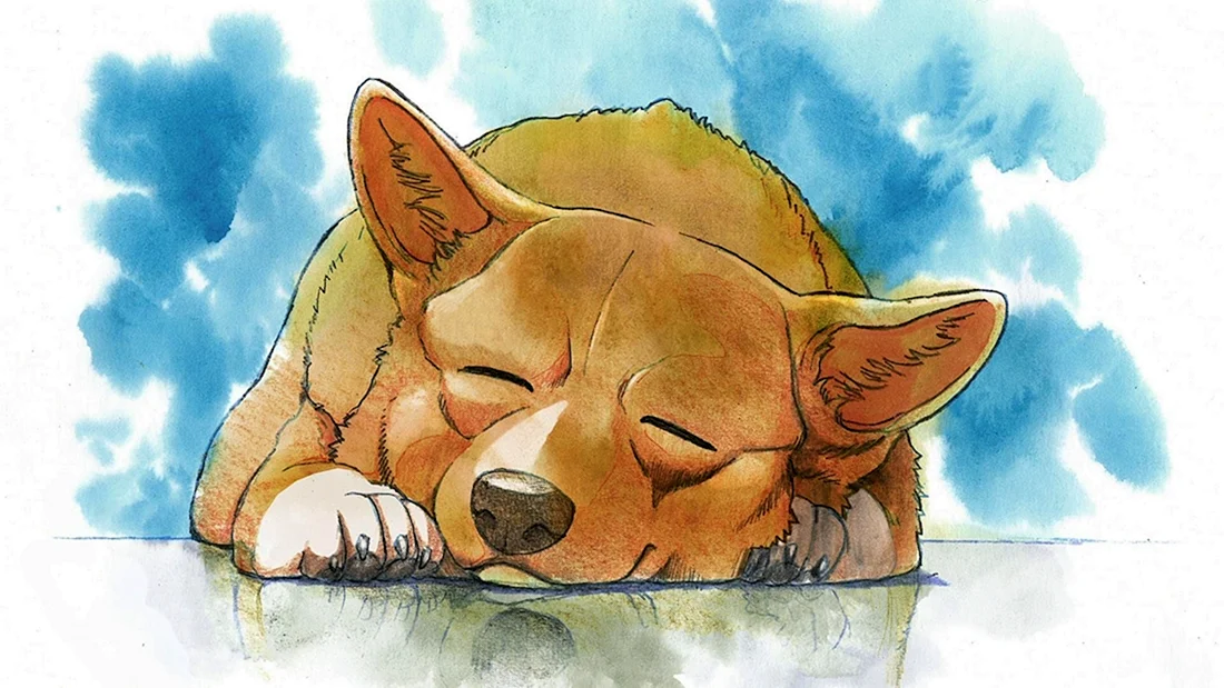 Эйн вельш корги аниме
