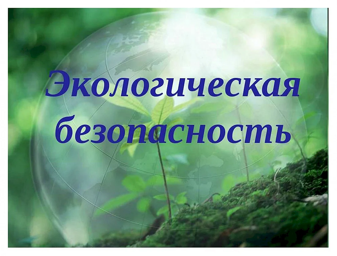 Экологическая безопасность