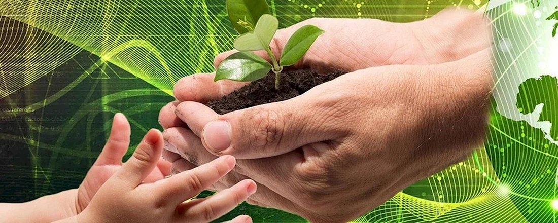 Экологическая продукция