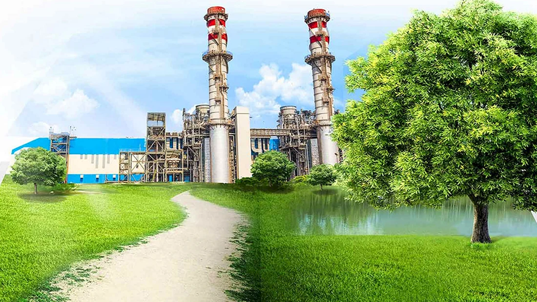 Экологический фон