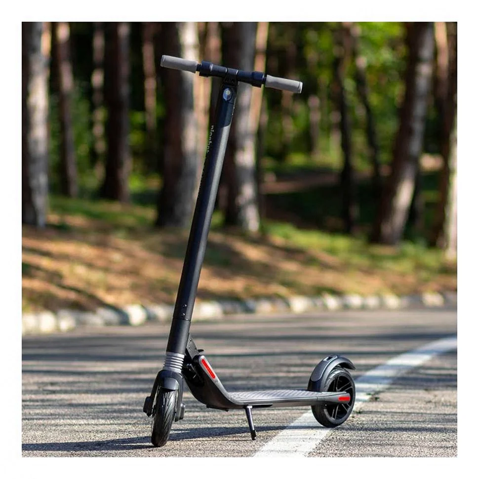 Электросамокат Ninebot KICKSCOOTER e22
