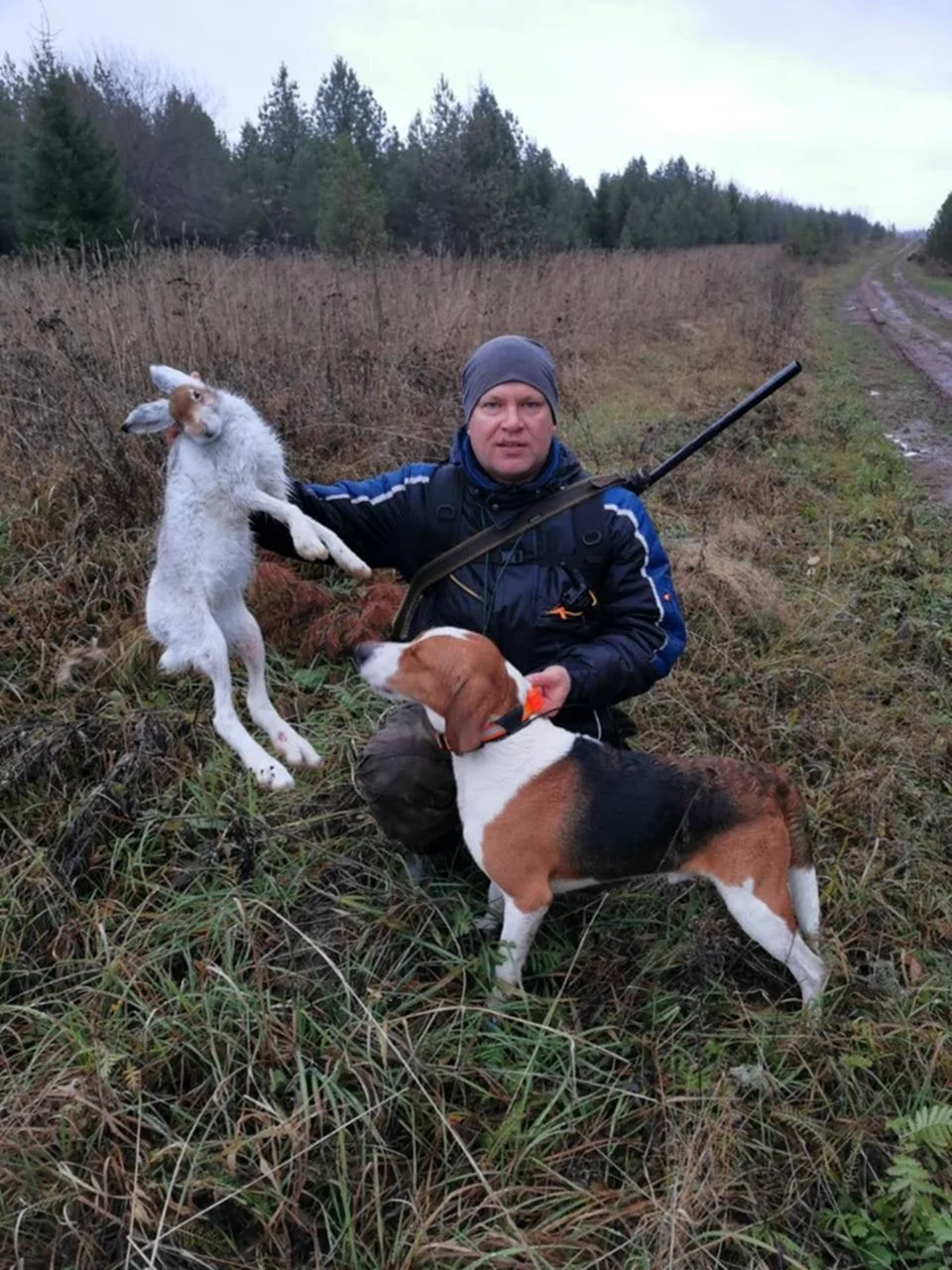 Эстонская гончая