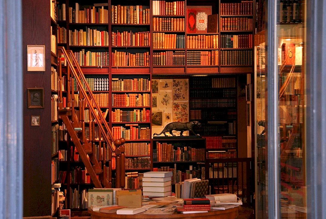 Фабиан Смит книжные стеллажи Берквист