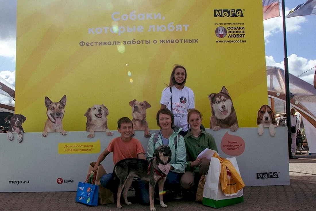 Фестиваль собаки которые любят