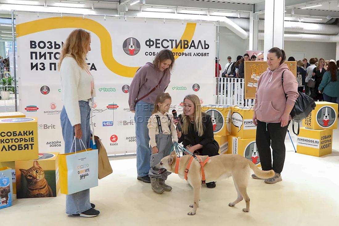 Фестиваль собаки которые любят