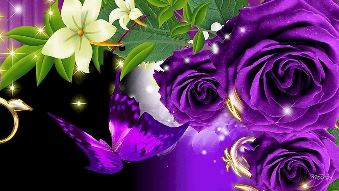 Фиолетовые розы