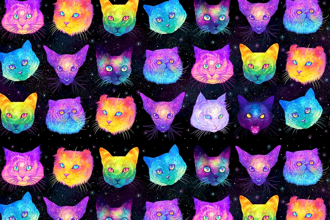Фон с котиками