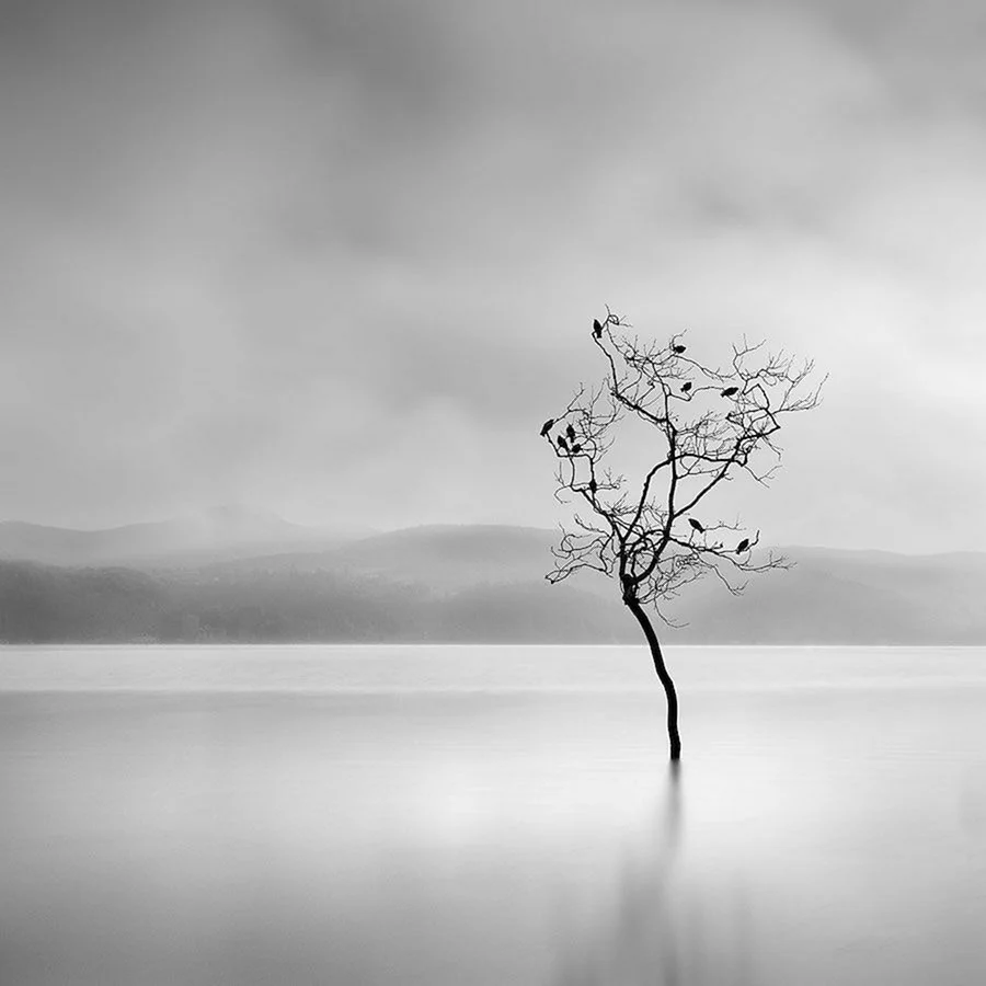 Фотограф Джордж Дигалакис