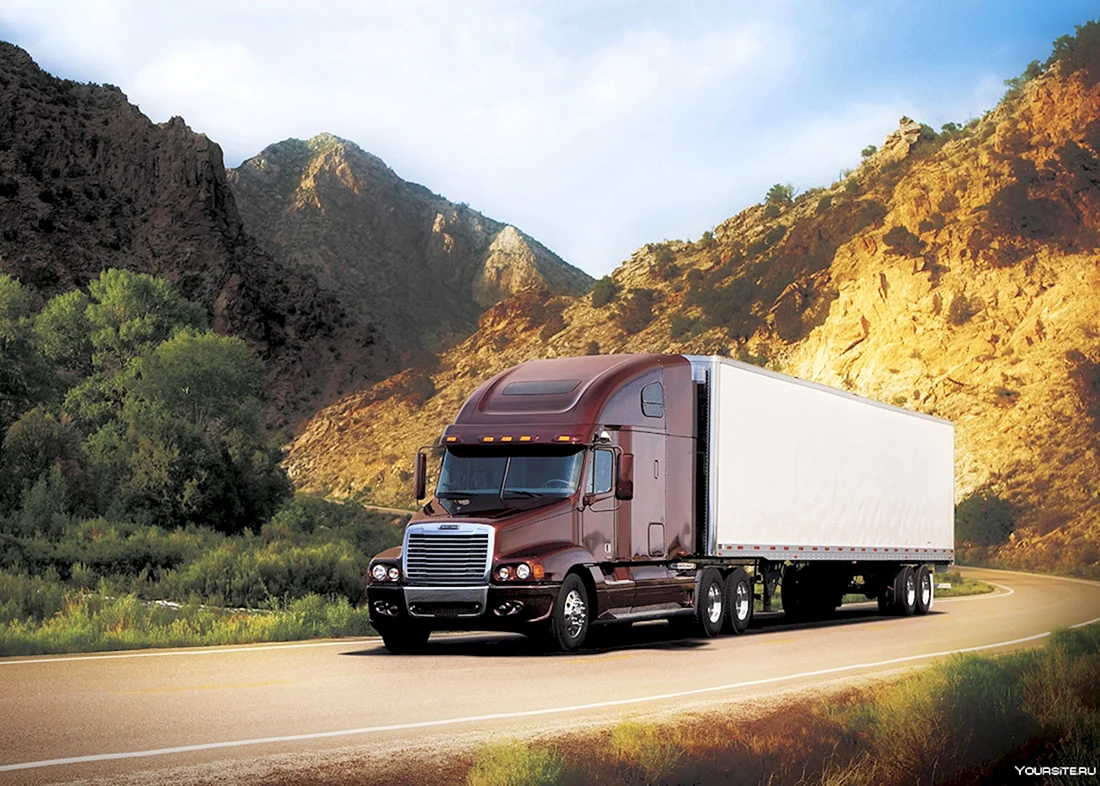 Freightliner Trucks 1995