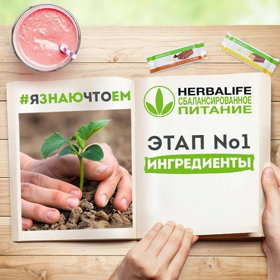 Гербалайф этапы производства