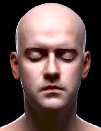 Голова человека