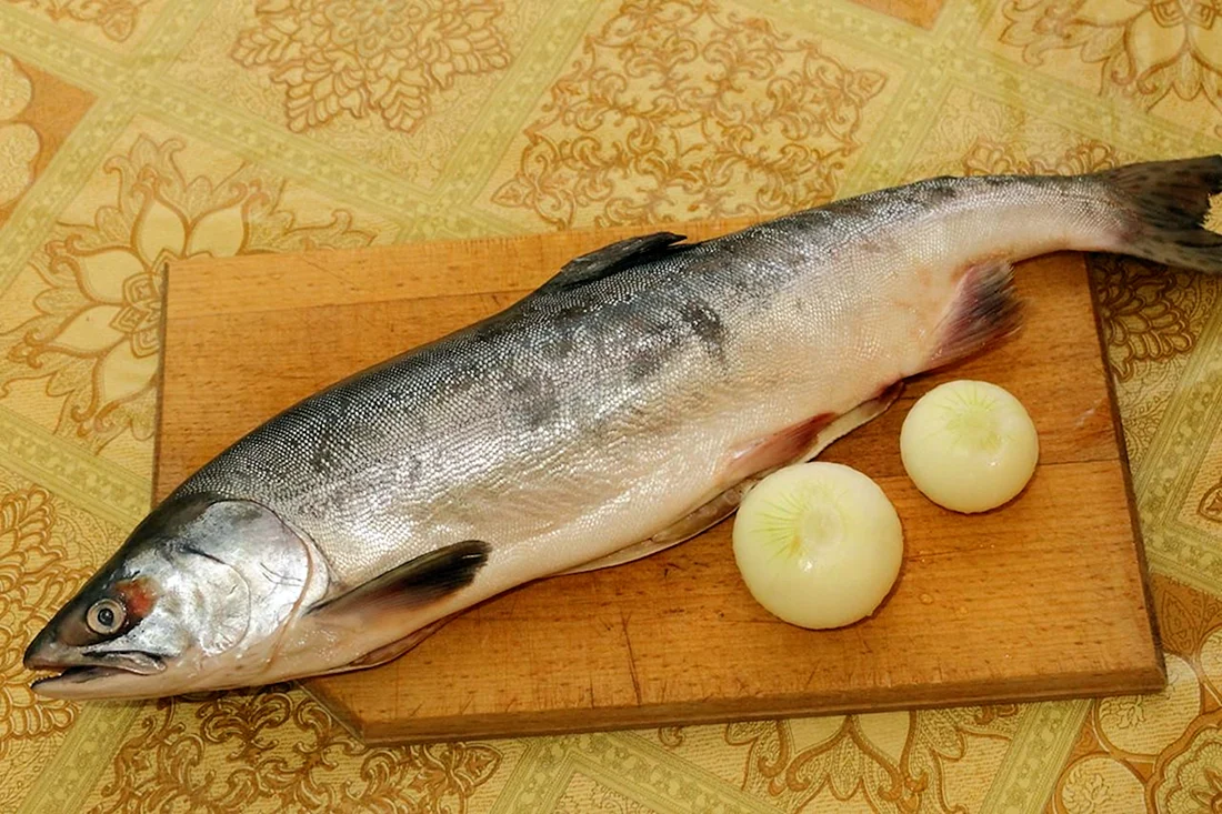 Горбуша рыба