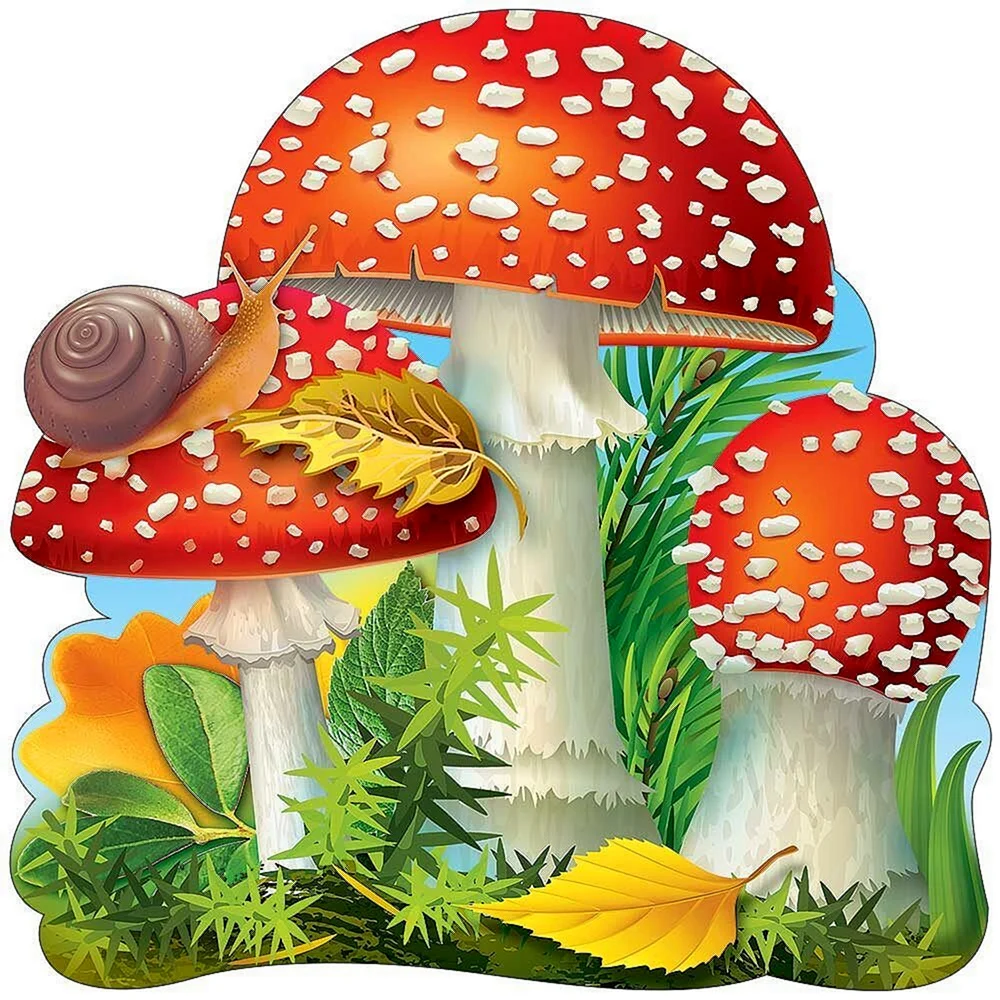 Грибы для детского сада