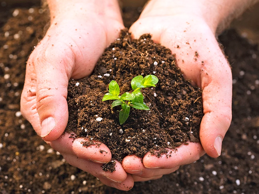 Грунт Soil