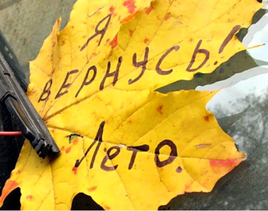 Я вернусь лето