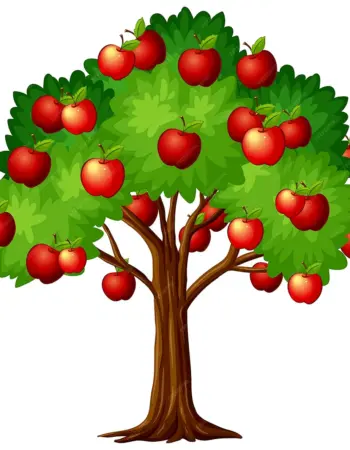 Яблоня дерево