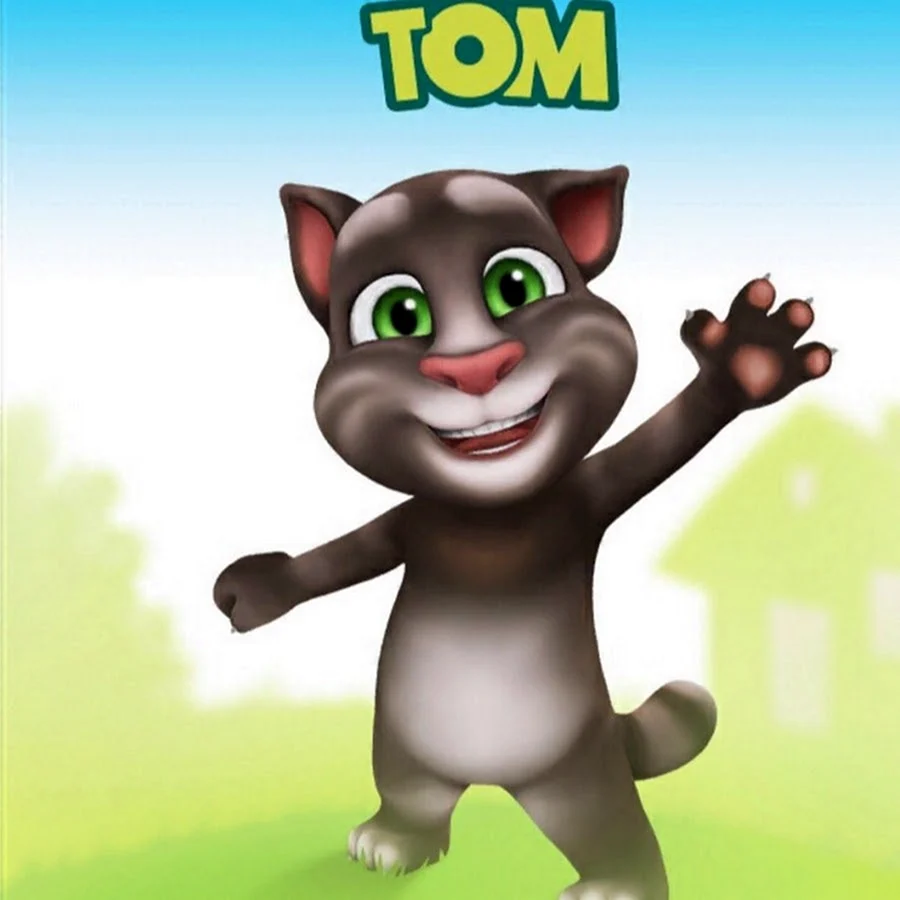 Игра Tom Cat