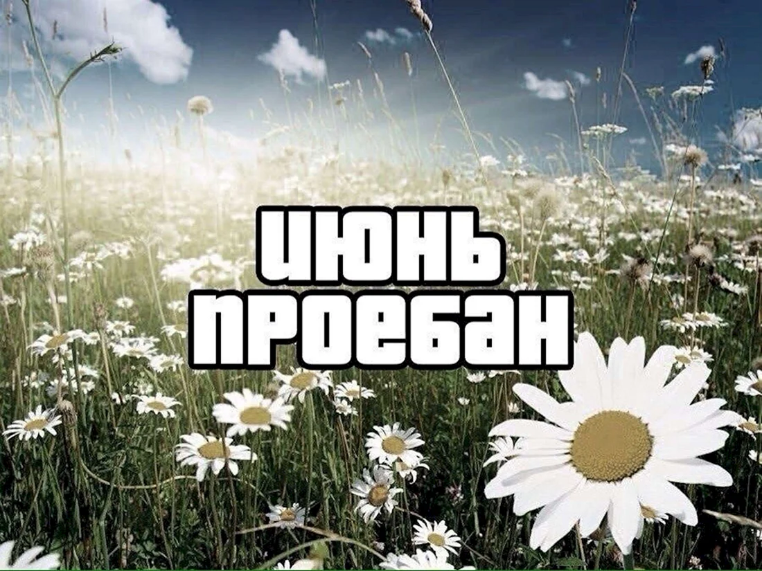 Июль картинки
