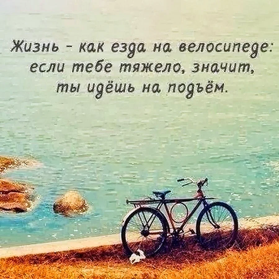 Интересные высказывания о жизни