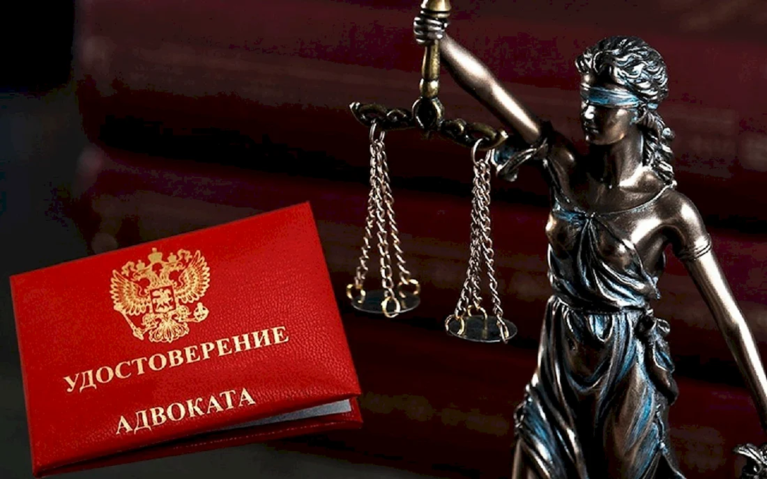 Юрист адвокат